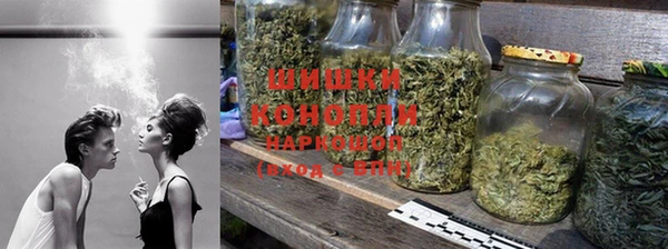 гидропоника Богородск